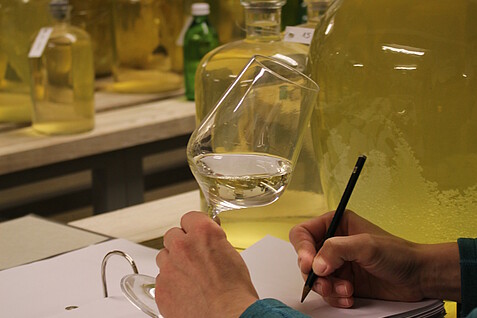 Eine Hand hält ein volles Weinglas und notiert nebenbei etwas in einem dicken Notizbuch. Im Hintergrund sind viele weitere gläserne, unterschiedlich große Weinballons in einem geschlossenen Raum zu sehen, die gelblich-grünliche Flüssigkeiten enthalten.