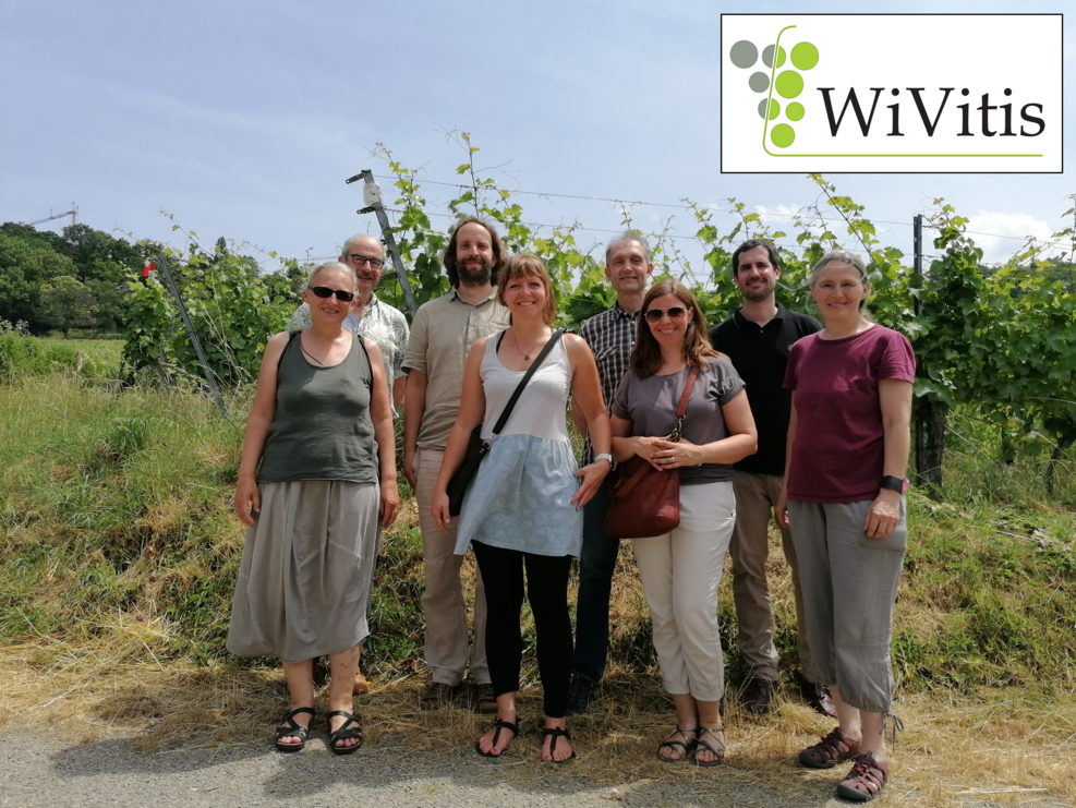 Group of 8 standing in front of row of vines. Photo taken in summer and supplemented with project logo in the right corner.